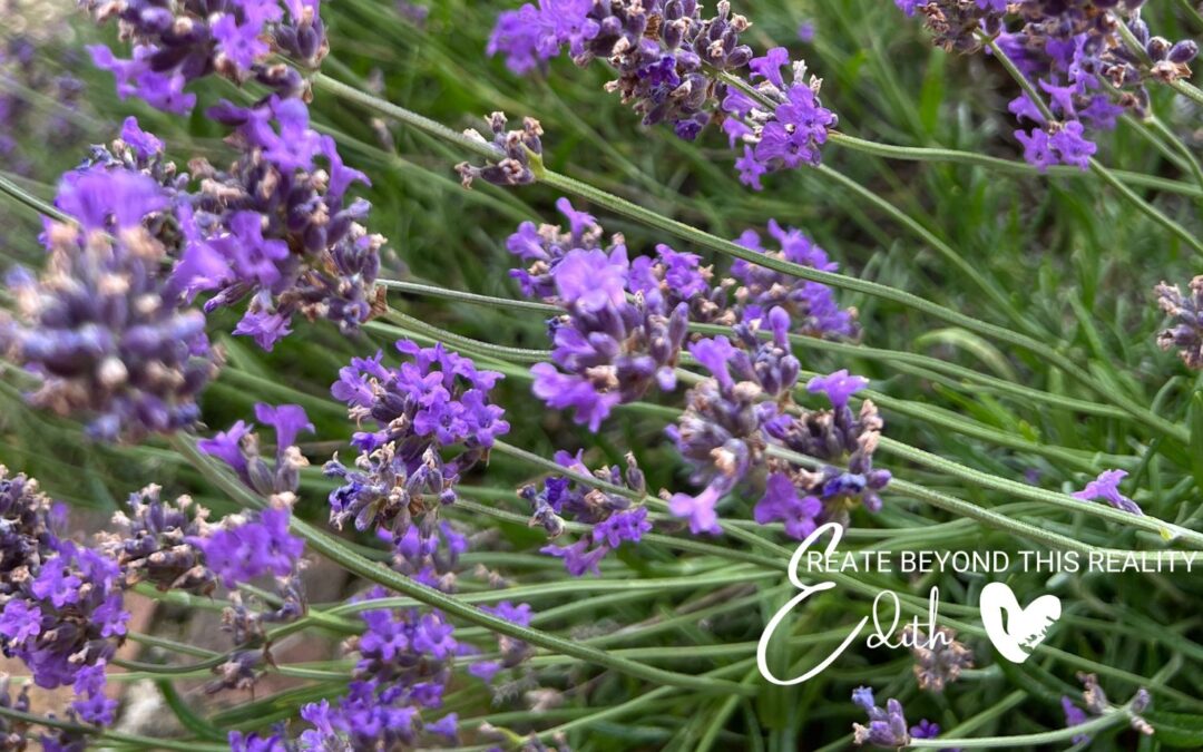 WIl jij op een natuurlijke manier werken aan je gezondheid? Edith Helwegen Doterra Limburg