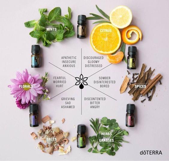 Op een natuurlijke wijze aan je gezondheid werken<br />
Doterra Limburg<br />
Edith Helwegen